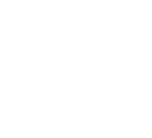 The_Ritz-Carlton
